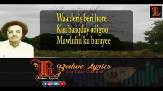 Hees La Joojiyaana Bannaan Maxamed Mooge Balwo Lyrics Official Music Video 2024 