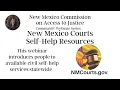 NM Commission on Access to Justice Webinar -
