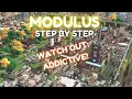 Getting started in Modulus