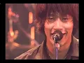 grapevine ふれていたい(live)