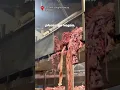 Download Lagu Inside a Slaughterhouse: THIS is what you support when you eat meat