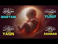 Lagu The Power of Suarh Maryam, Yusuf, Yasin, Rahman, Waqiah, Mulk During Pregnancy | Muhammad Hijazi