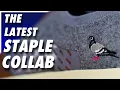 Allbirds STAPLE Dasher Review The Latest Staple Pigeon Sneaker Collab