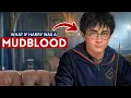 What If Harry Potter Was a Muggle-born Mudblood