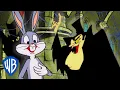 Looney Tunes | Bugs Bunny Meets Count Blood Count | WB Kids