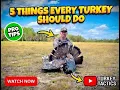 5 Things to Do Before Turkey Season Don t Make These Rookie Mistakes