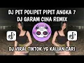 Lagu DJ PET POLIPET PIPET ANGKA 7 | DJ GARAM CINA REMIX VIRAL TIKTOK YG KALIAN CARI