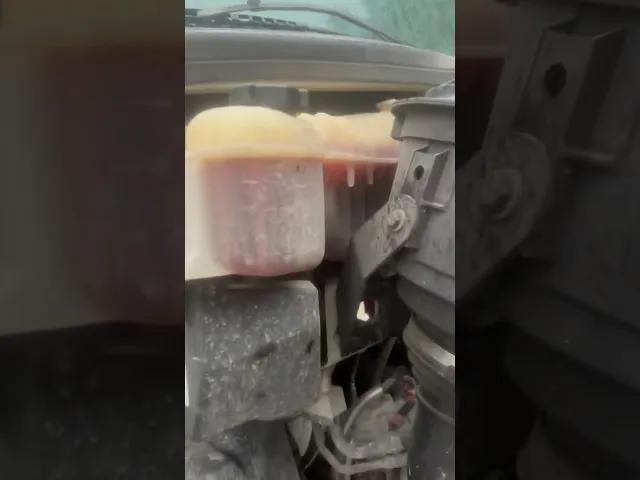 View Video