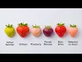Every Strawberry Explained