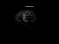 Generative Art - Spot-light effect and fractal tree in Processing