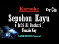 Download Lagu Sepohon Kayu (Karaoke) Jefri Al Buchori Nada Wanita/ Cewek/ Female key Cm