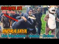Download Lagu Sekuate Ati - Voc Herlita ❗️❗️❗️ Indra Jaya Live Waruduwur Cirebon