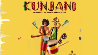 nandy kunjani feat sho madjozi official audio