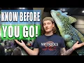 Top 10 Reptile Show TIPS