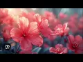 Download Lagu Ni_____La Paattu ❤️.                                                  🌺 Isai medaiyil inba .... 🌺