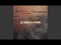 Download Lagu Dil Lgake