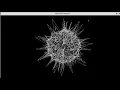 Turtle Python drawing Turtle Python graphics Create Vibrate Circle using Python turtle in pycharm