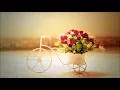 Romantic Ringtone | Ringtones for Android | Instrumental Ringtones