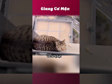 Còn 8 mạng 🫪 #giangcuman