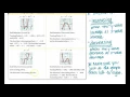 Algebra 2 5 1 Polynomial Functions