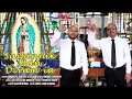 Download Lagu Saibinnik man divum-ia | Mindroy Carvalho | Ignatius De xelvon | New Konkani Song 2025