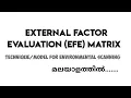 EFE MATRIX