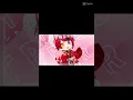 Download Lagu rinu sutopuri