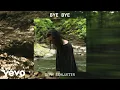 Seph Schlueter - Bye Bye Visualizer
