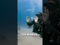 Making an underwater bubble ring - big blue sea
