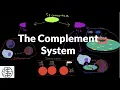 The Complement System Classical Pathway Lectin Pathway and the Alternative pathway