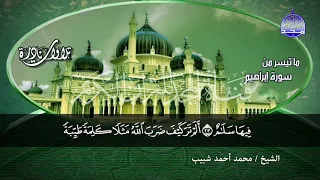 جديد المجد تلاوة جليلة من سورة ابراهيم لقارئ النصر محمد احمد شبيب من نوادر المجد HD 