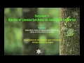 Calculate Factorial Using JavaScript in English Lecture 1 Atmiya University