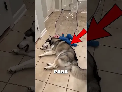 Pasó Algo Inesperado En El Tobogán 🤯
