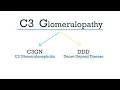 What are IC MPGN and C3G