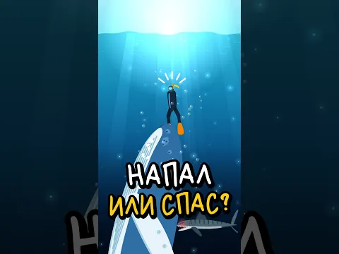 Кит напал на женщину… или спас её? 😨