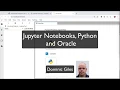 Jupyter Notebooks and the Oracle Database Overview