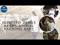 Download Lagu Hoe ISO 22003 de veehouderij veilig houdt