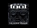 TOOL - Vicarious (Audio)