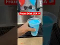 Download Lagu Best Frozen Drink In USA Challenge #love #trending #desi #frozendrinks #frozen #food