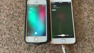 Two Siri S Talking To Each Other 