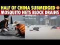 Download Lagu Tragic! Typhoon Hits, Half of China Flooded, All Due to Mosquito Nets Blocking Drains