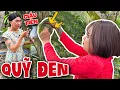 Download Lagu Giấu Quỹ Đen Trong Trái Bưởi, Thúy Liễu Nhận Cái Kết Đắng | Tủn Cùi Bắp