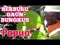 Lagu Berburu daun bungkus Papua! || Daun Tiga Jari Perkasa!.. #papua  #daunbungkus