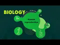 KS3 Reproduction BBC Bitesize Biology