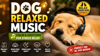 Dog Calm Music Non Stop | 8 Hours of Relaxing Music for Dogs | Reduce Anxiety & Help Dogs Sleep