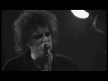 Download Lagu The Cure - Love Song (HQ Video)