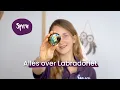 Lagu #33 Alles over Labradoriet, Verrassend veel Kleuren | Edelstenen