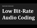 Low Bit-Rate Coding Explained Perceptual Lossless Compression