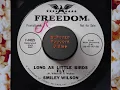 Long As Little Birds Fly   Smiley Wilson