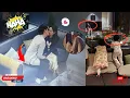 Download Lagu Hyun Bin and Son Ye Jin Accidentally Let Alkong See Something Unseen—And His Surprising Height!